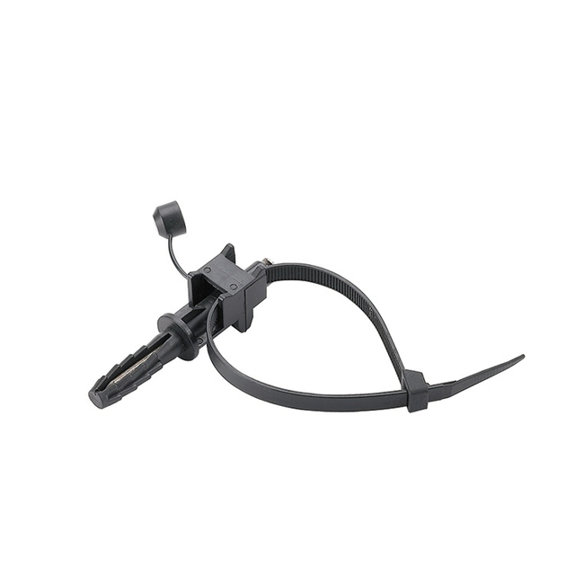 SMZD Wall Type Strap Support Fixing Nail with Cable Tie