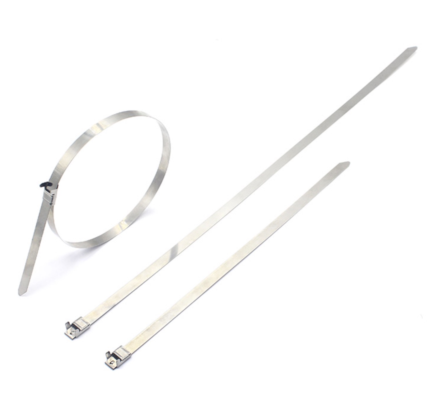 Stainless Steel Cable Tie with Wing Lock 201 304 316